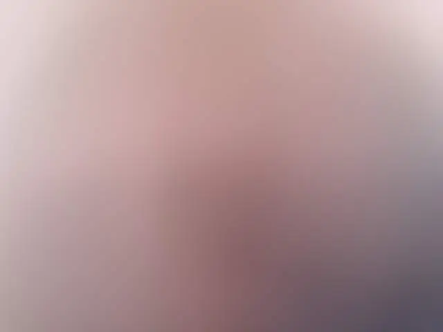 Celestiale image 3